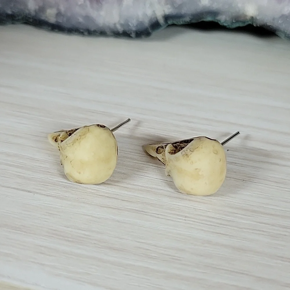 🔥LAST PAIR🔥 Realistic Poe Macabre Bird Skull Stud Earrings